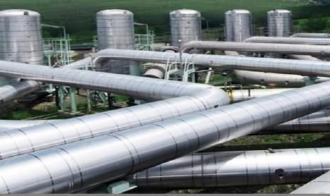 Barito Pacific Tumbuh 56% Berkat Bisnis Petrokimia, Targetkan Ekspansi Energi Terbarukan