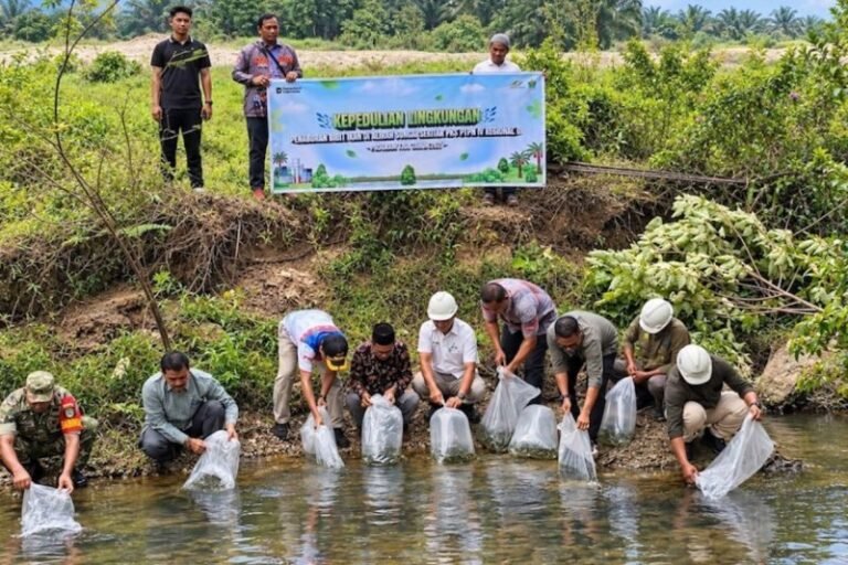PTPN IV Lepaskan 60 Ribu Bibit Ikan ke Sungai Riau, Jaga Ekosistem Sekaligus Dukung Pangan Lokal